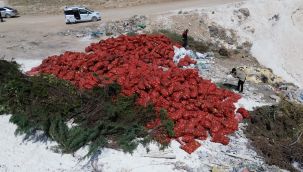 Karaman'da tonlarca soğan, boş araziye atılmış halde bulundu 