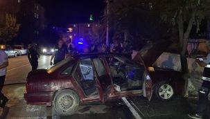 Park halindeyken hareket eden otomobil, ağaca çarparak yandı