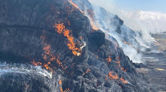 Çıkan yangında 300 ton saman balyası kül oldu 