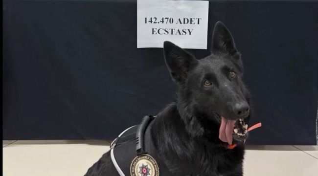 Karaman'da 142 bin adet uyuşturucu hap ele geçirildi 