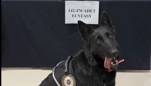 Karaman'da 142 bin adet uyuşturucu hap ele geçirildi 