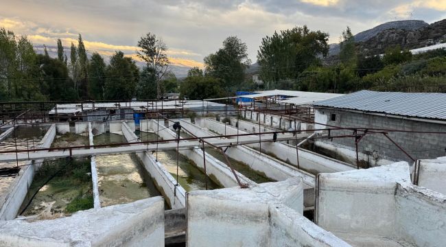 Kuraklık alabalık üretim çiftliğini de vurdu