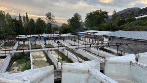 Kuraklık alabalık üretim çiftliğini de vurdu