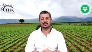 Yunus Çelik'ten sert tepki: "Komployu kuran da aynı, mağdur rolü oynayan da"