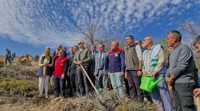 Karaman'da 5 bin fidan toprakla buluşturuldu 