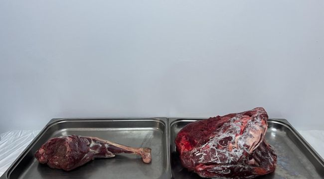 Yaban keçisi avlayan şahıslara 954 bin 208 lira ceza 