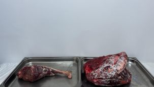 Yaban keçisi avlayan şahıslara 954 bin 208 lira ceza 