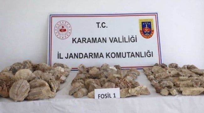 Karaman'da 420 adet fosil ele geçirildi: 12 kişi tutuklandı