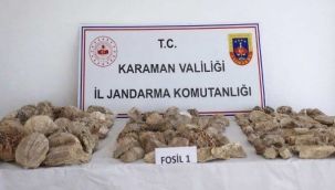 Karaman'da 420 adet fosil ele geçirildi: 12 kişi tutuklandı