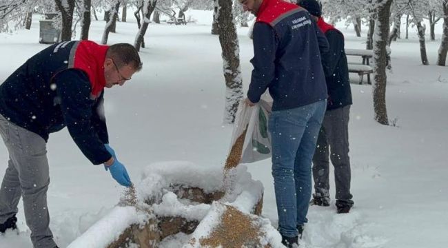 Karaman'da yaban hayvanları ve kuşlar için doğaya yem bırakıldı 
