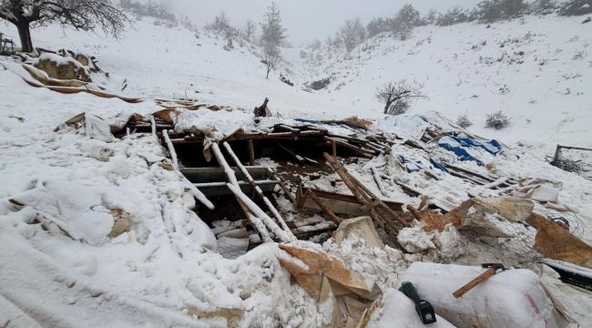 Karın ağırlığına dayanamayan ahırın çatısı çöktü: 142 hayvanı jandarma ve köylüler kurtardı
