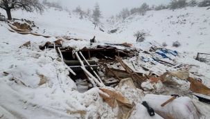 Karın ağırlığına dayanamayan ahırın çatısı çöktü: 142 hayvanı jandarma ve köylüler kurtardı