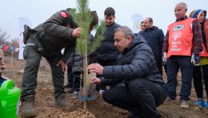 Karaman’da 6 bin fidan toprakla buluşturuldu 