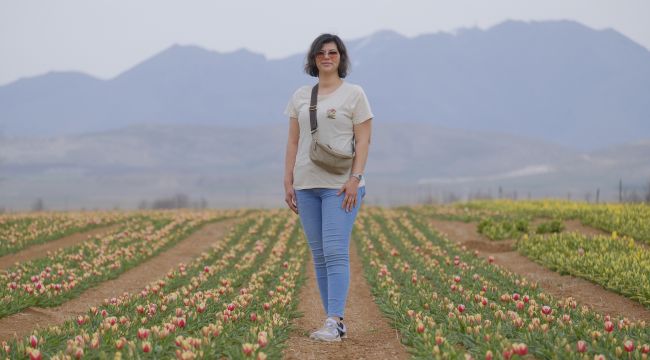 Karaman'da lale tarlasını 250 bin kişinin ziyaret etmesi bekleniyor