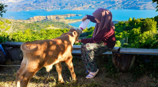 Ermenekli Zehra'nın hayvan sevgisi ilgi odağı oldu