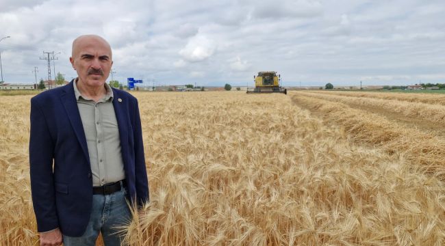 Karaman Ovası'nda yılın ilk arpa hasadı yapıldı 